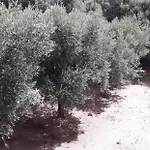 Maison Kainà Olbia